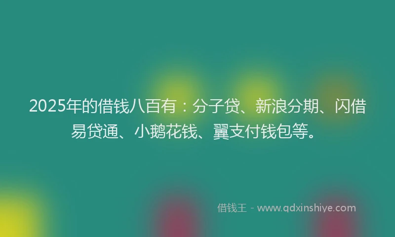 2025年的借钱八百有：分子贷、新浪分期、闪借易贷通、小鹅花钱、翼支付钱包等。