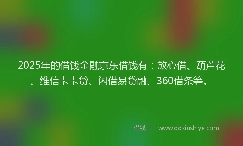 2025年的借钱金融京东借钱有：放心借、葫芦花、维信卡卡贷、闪借易贷融、360借条等。