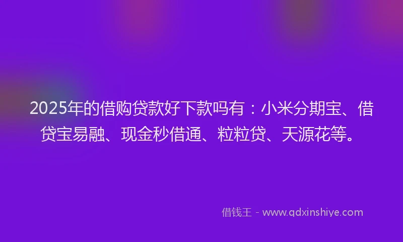 2025年的借购贷款好下款吗有：小米分期宝、借贷宝易融、现金秒借通、粒粒贷、天源花等。
