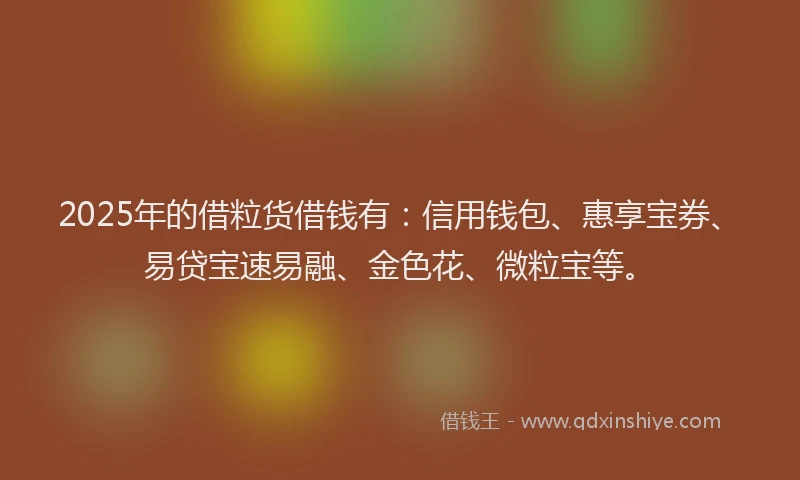 2025年的借粒货借钱有：信用钱包、惠享宝券、易贷宝速易融、金色花、微粒宝等。