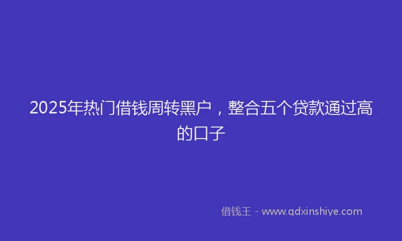 2025年热门借钱周转黑户，整合五个贷款通过高的口子