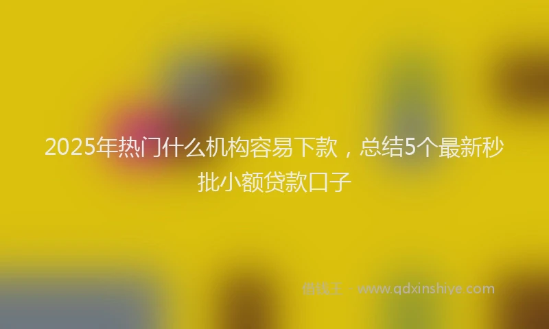 2025年热门什么机构容易下款，总结5个最新秒批小额贷款口子