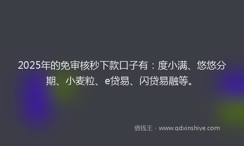 2025年的免审核秒下款口子有：度小满、悠悠分期、小麦粒、e贷易、闪贷易融等。