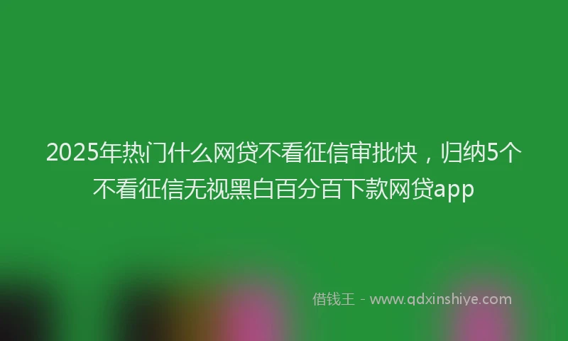 2025年热门什么网贷不看征信审批快，归纳5个不看征信无视黑白百分百下款网贷app