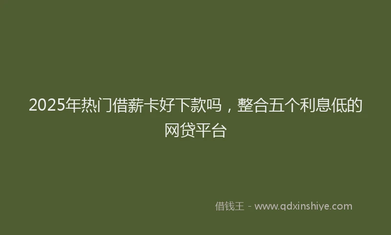 2025年热门借薪卡好下款吗，整合五个利息低的网贷平台