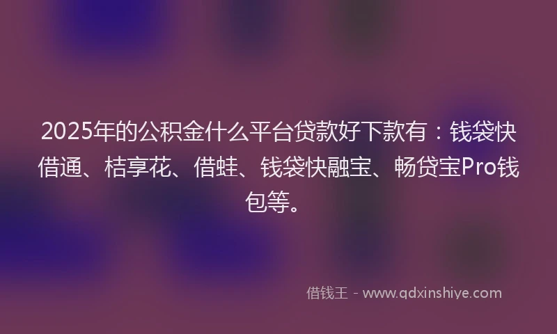 2025年的公积金什么平台贷款好下款有：钱袋快借通、桔享花、借蛙、钱袋快融宝、畅贷宝Pro钱包等。