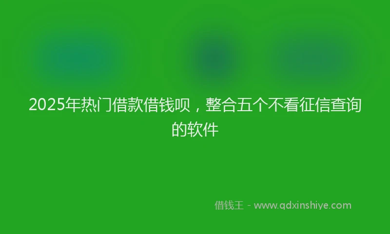 2025年热门借款借钱呗，整合五个不看征信查询的软件