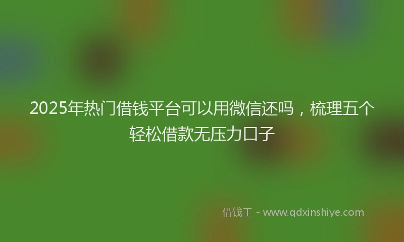 2025年热门借钱平台可以用微信还吗，梳理五个轻松借款无压力口子