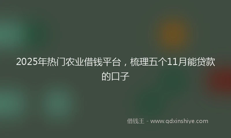 2025年热门农业借钱平台，梳理五个11月能贷款的口子