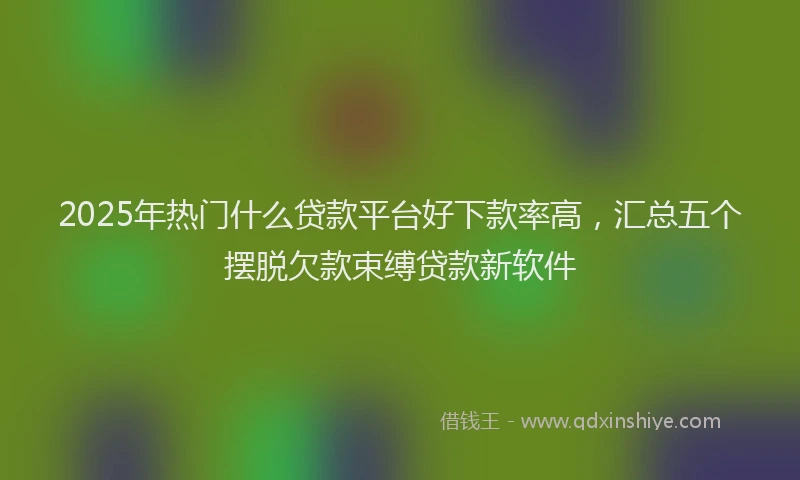 2025年热门什么贷款平台好下款率高，汇总五个摆脱欠款束缚贷款新软件