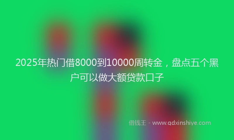 2025年热门借8000到10000周转金，盘点五个黑户可以做大额贷款口子
