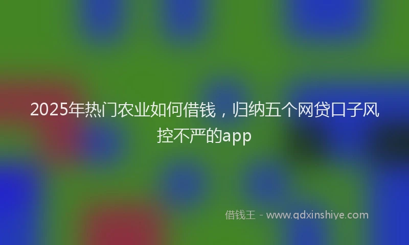 2025年热门农业如何借钱，归纳五个网贷口子风控不严的app