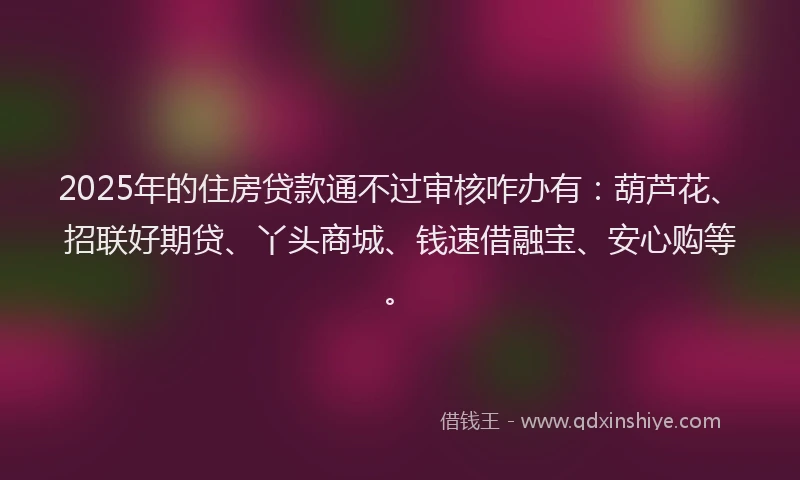 2025年的住房贷款通不过审核咋办有：葫芦花、招联好期贷、丫头商城、钱速借融宝、安心购等。