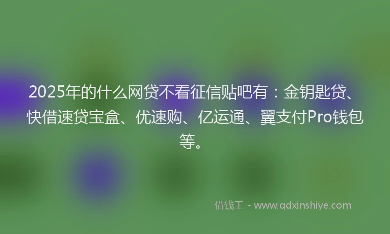 2025年的什么网贷不看征信贴吧有：金钥匙贷、快借速贷宝盒、优速购、亿运通、翼支付Pro钱包等。