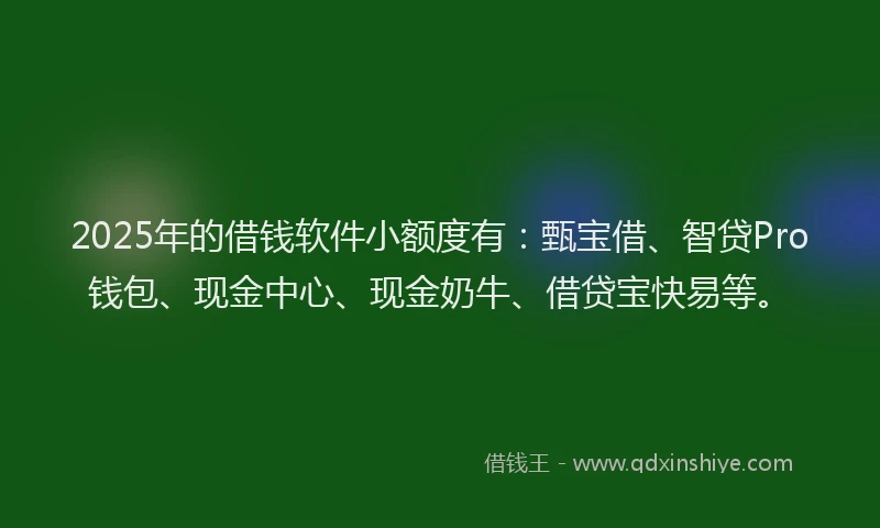 2025年的借钱软件小额度有：甄宝借、智贷Pro钱包、现金中心、现金奶牛、借贷宝快易等。