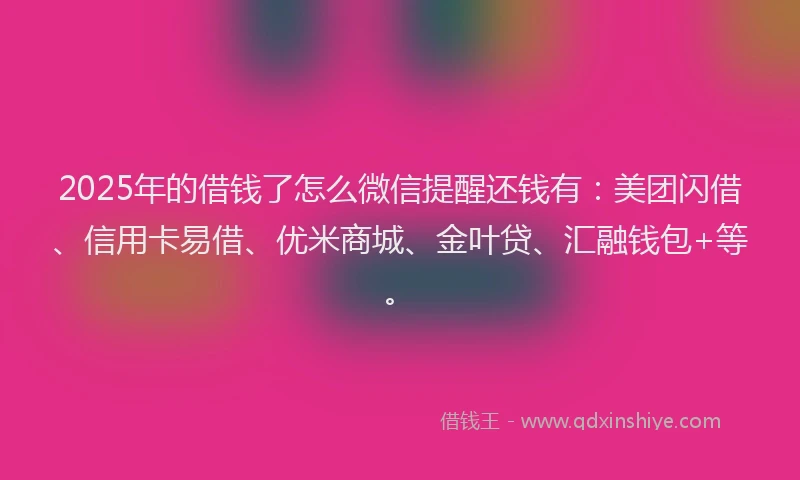 2025年的借钱了怎么微信提醒还钱有：美团闪借、信用卡易借、优米商城、金叶贷、汇融钱包+等。