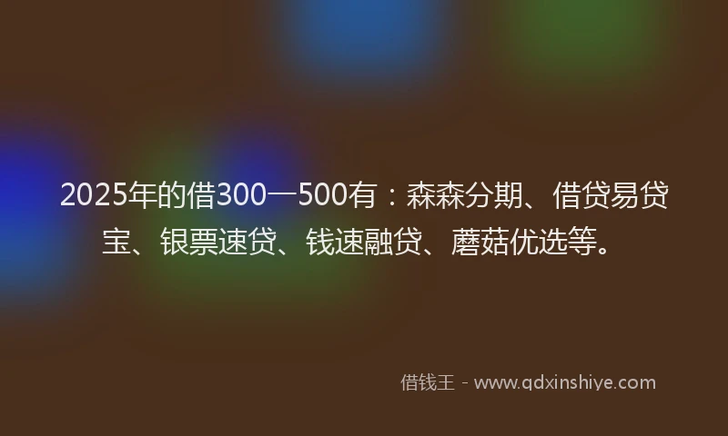 2025年的借300一500有：森森分期、借贷易贷宝、银票速贷、钱速融贷、蘑菇优选等。