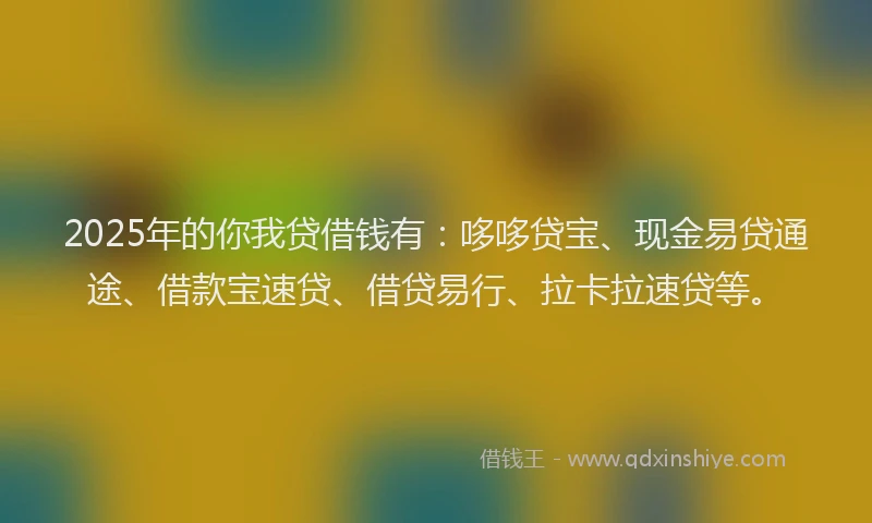 2025年的你我贷借钱有：哆哆贷宝、现金易贷通途、借款宝速贷、借贷易行、拉卡拉速贷等。