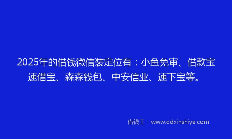 2025年的借钱微信装定位有：小鱼免审、借款宝速借宝、森森钱包、中安信业、速下宝等。