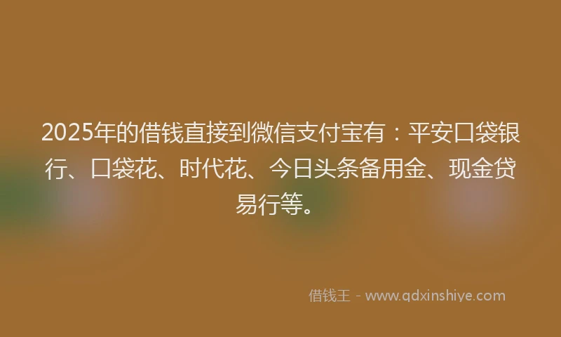2025年的借钱直接到微信支付宝有：平安口袋银行、口袋花、时代花、今日头条备用金、现金贷易行等。