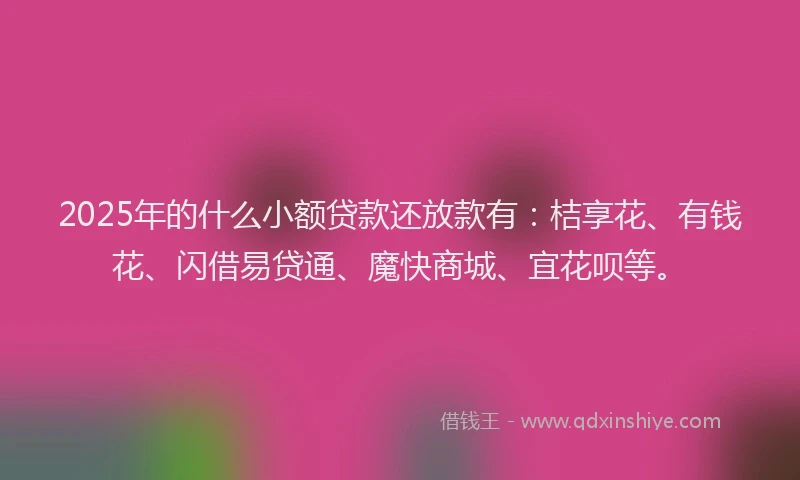 2025年的什么小额贷款还放款有：桔享花、有钱花、闪借易贷通、魔快商城、宜花呗等。