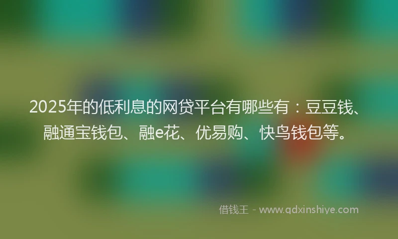 2025年的低利息的网贷平台有哪些有：豆豆钱、融通宝钱包、融e花、优易购、快鸟钱包等。