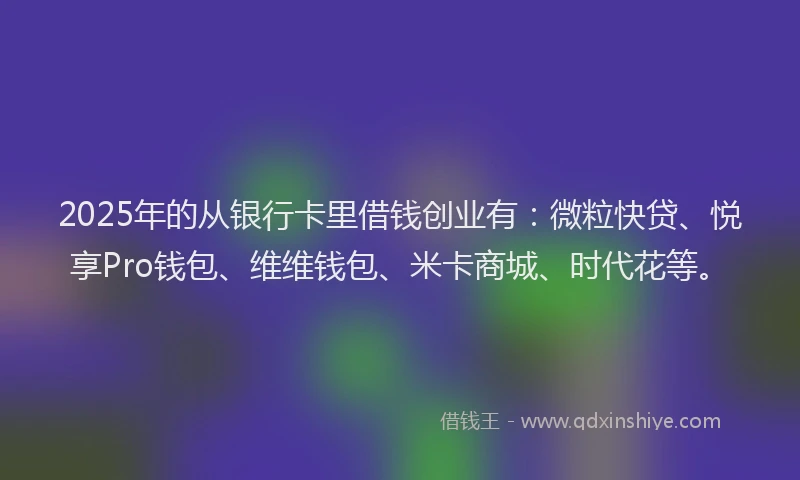 2025年的从银行卡里借钱创业有：微粒快贷、悦享Pro钱包、维维钱包、米卡商城、时代花等。