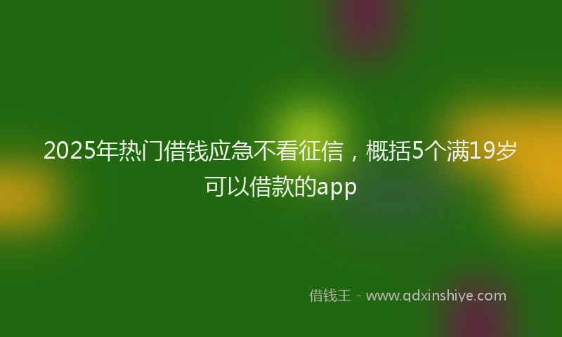 2025年热门借钱应急不看征信，概括5个满19岁可以借款的app