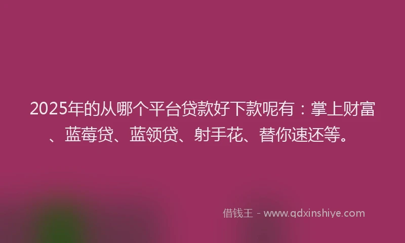 2025年的从哪个平台贷款好下款呢有：掌上财富、蓝莓贷、蓝领贷、射手花、替你速还等。