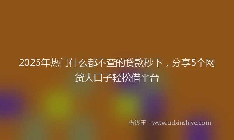 2025年热门什么都不查的贷款秒下，分享5个网贷大口子轻松借平台
