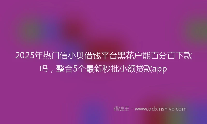 2025年热门信小贝借钱平台黑花户能百分百下款吗，整合5个最新秒批小额贷款app