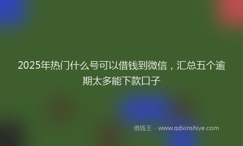 2025年热门什么号可以借钱到微信，汇总五个逾期太多能下款口子