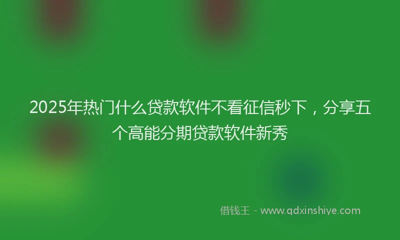 2025年热门什么贷款软件不看征信秒下，分享五个高能分期贷款软件新秀