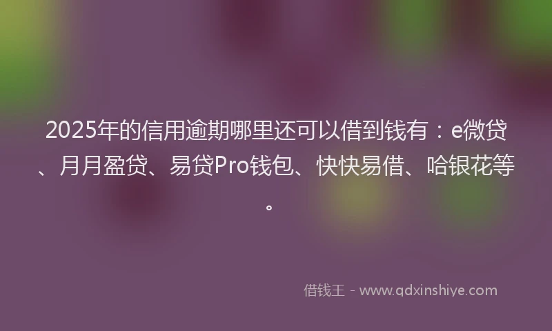 2025年的信用逾期哪里还可以借到钱有：e微贷、月月盈贷、易贷Pro钱包、快快易借、哈银花等。