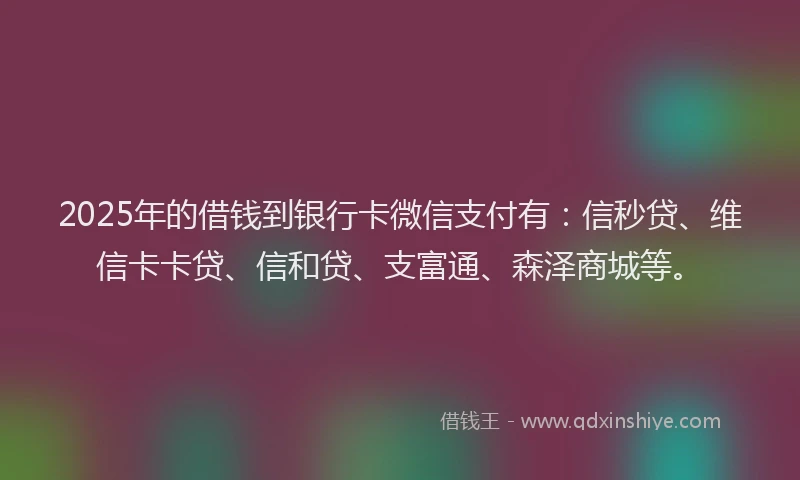 2025年的借钱到银行卡微信支付有：信秒贷、维信卡卡贷、信和贷、支富通、森泽商城等。