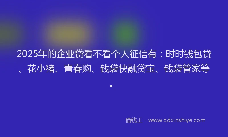2025年的企业贷看不看个人征信有：时时钱包贷、花小猪、青春购、钱袋快融贷宝、钱袋管家等。