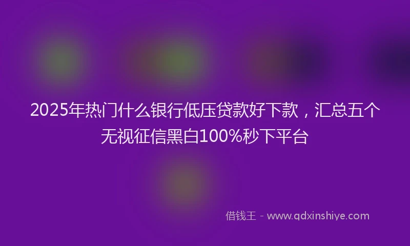 2025年热门什么银行低压贷款好下款，汇总五个无视征信黑白100%秒下平台