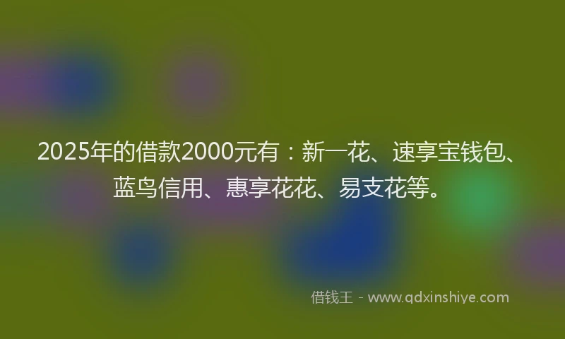 2025年的借款2000元有：新一花、速享宝钱包、蓝鸟信用、惠享花花、易支花等。