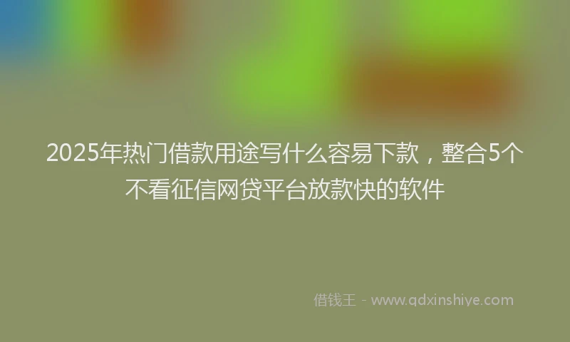 2025年热门借款用途写什么容易下款，整合5个不看征信网贷平台放款快的软件