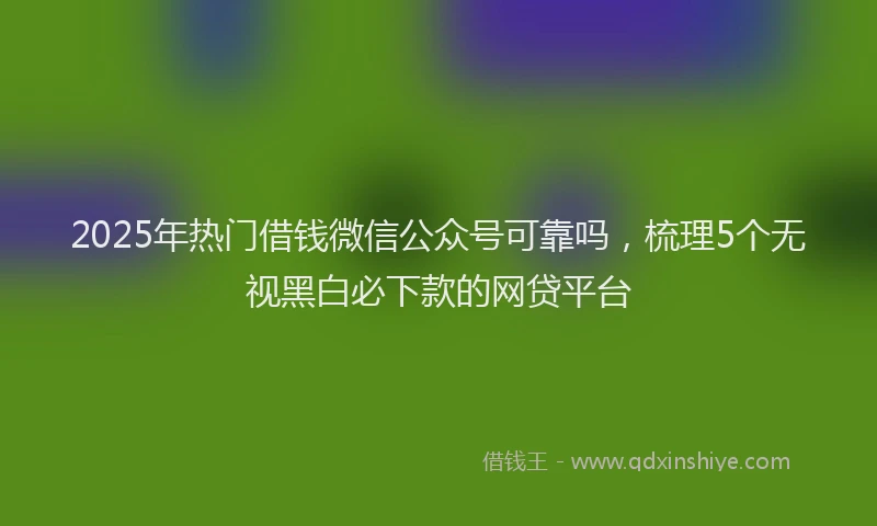 2025年热门借钱微信公众号可靠吗，梳理5个无视黑白必下款的网贷平台