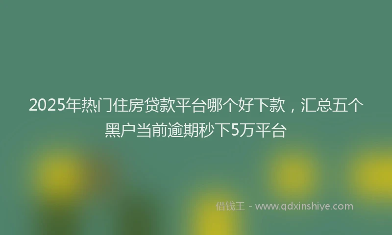 2025年热门住房贷款平台哪个好下款，汇总五个黑户当前逾期秒下5万平台