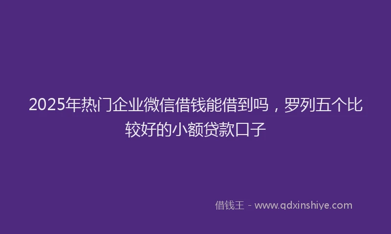 2025年热门企业微信借钱能借到吗，罗列五个比较好的小额贷款口子