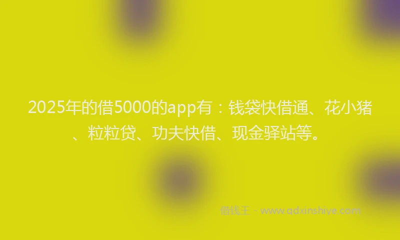 2025年的借5000的app有：钱袋快借通、花小猪、粒粒贷、功夫快借、现金驿站等。