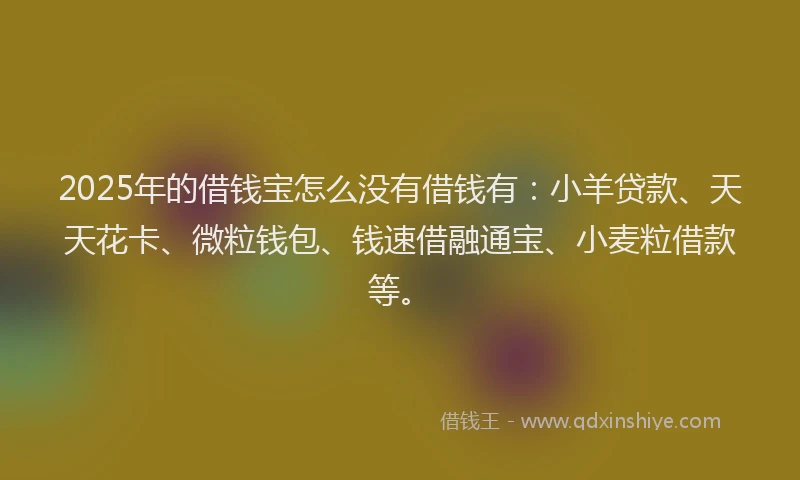 2025年的借钱宝怎么没有借钱有：小羊贷款、天天花卡、微粒钱包、钱速借融通宝、小麦粒借款等。