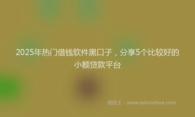 2025年热门借钱软件黑口子，分享5个比较好的小额贷款平台