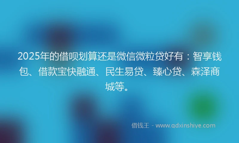 2025年的借呗划算还是微信微粒贷好有：智享钱包、借款宝快融通、民生易贷、臻心贷、森泽商城等。