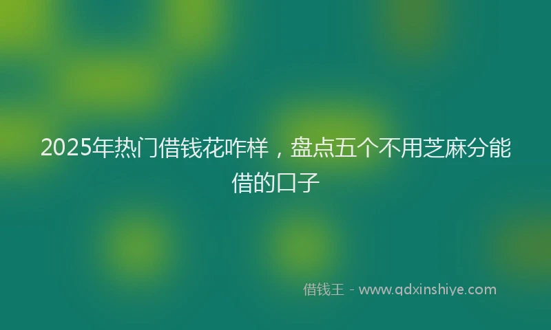 2025年热门借钱花咋样，盘点五个不用芝麻分能借的口子