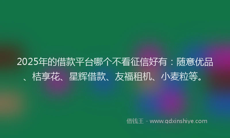 2025年的借款平台哪个不看征信好有：随意优品、桔享花、星辉借款、友福租机、小麦粒等。