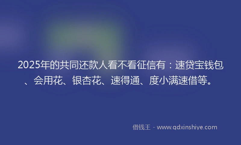 2025年的共同还款人看不看征信有：速贷宝钱包、会用花、银杏花、速得通、度小满速借等。