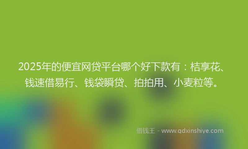 2025年的便宜网贷平台哪个好下款有：桔享花、钱速借易行、钱袋瞬贷、拍拍用、小麦粒等。